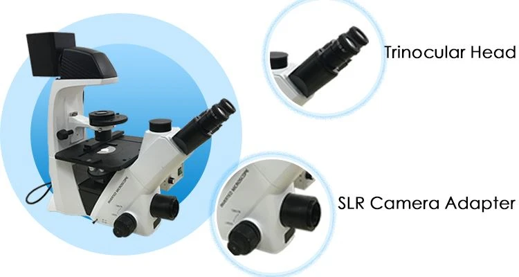 LED Inverted Biological Microscope SUPPLIER