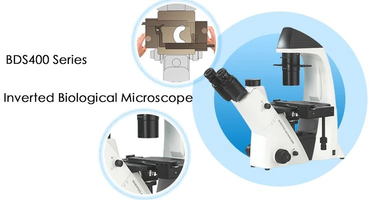 Long Working Distance Biological Inverted Microscope for sale